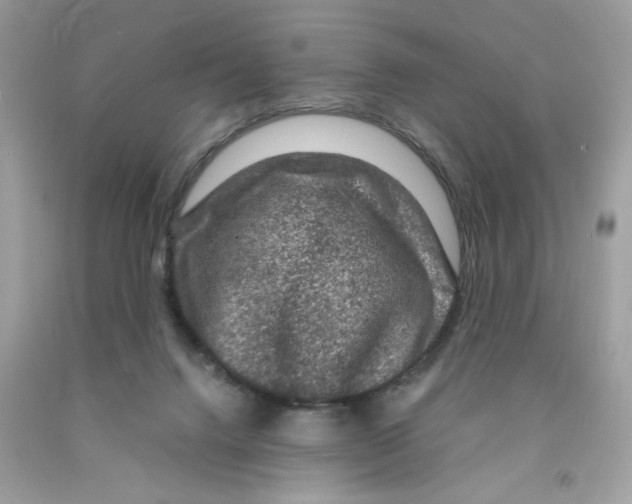 X0000091060072200709041207