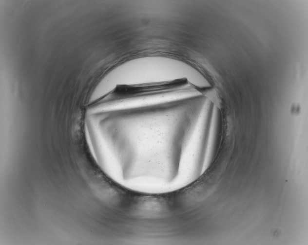 X0000091060073200709041207