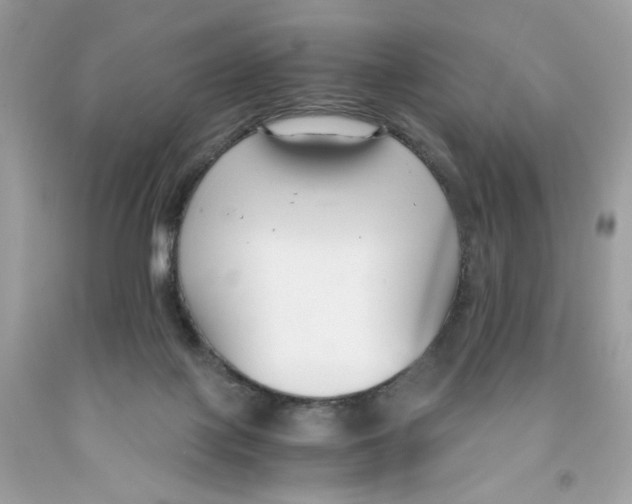 X0000091060075200709041207