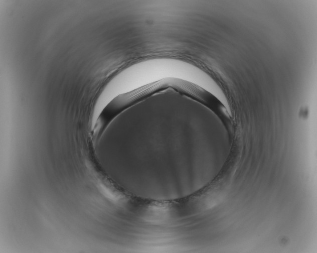 X0000091060076200709041207