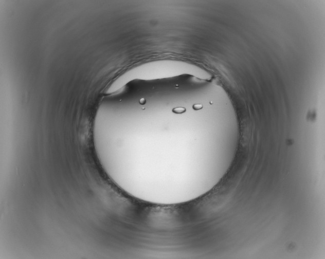 X0000091060077200709041207