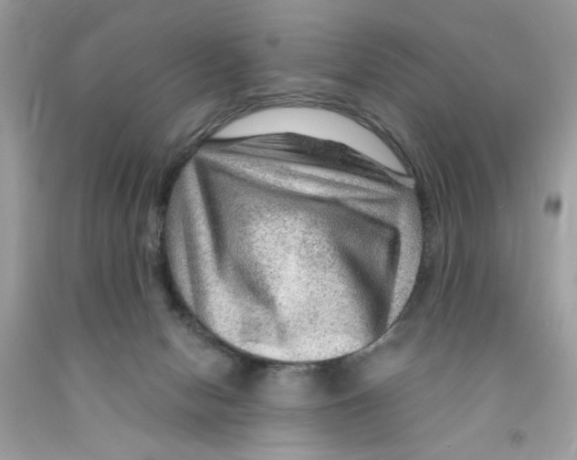 X0000091060078200709041207