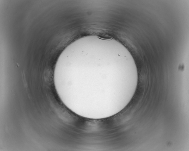 X0000091060079200709041207