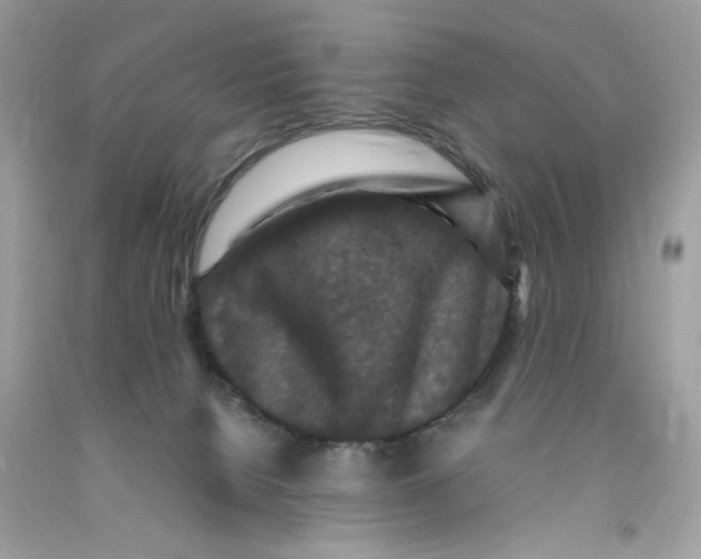 X0000091060080200709041207