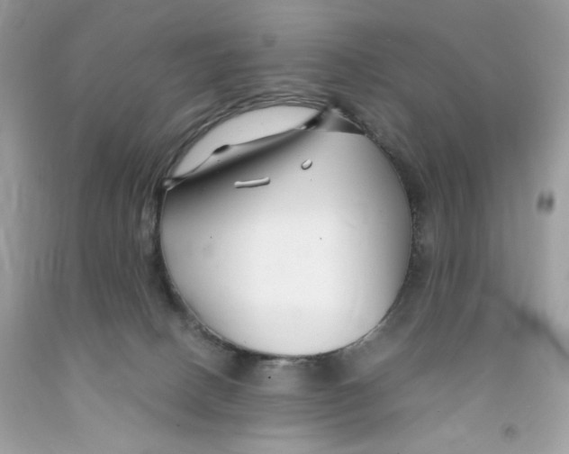 X0000091060082200709041207