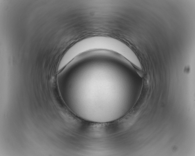 X0000091060084200709041207