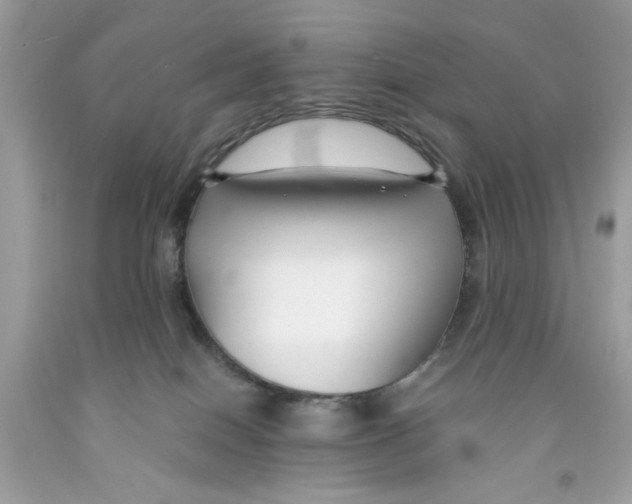 X0000091060086200709041208