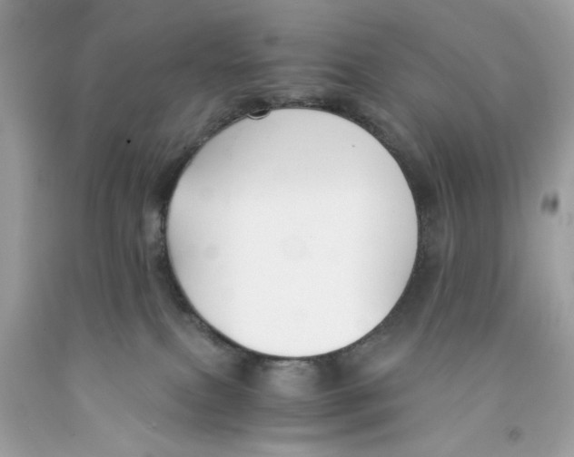 X0000091060087200709041208