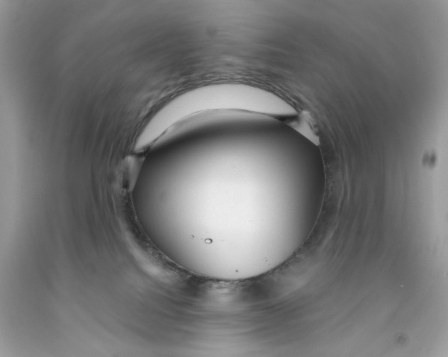 X0000091060088200709041208