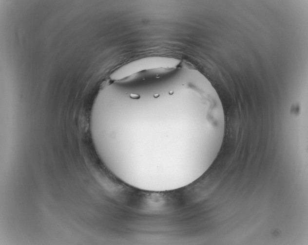 X0000091060091200709041208