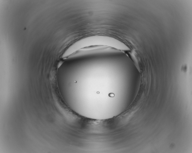 X0000091060092200709041208