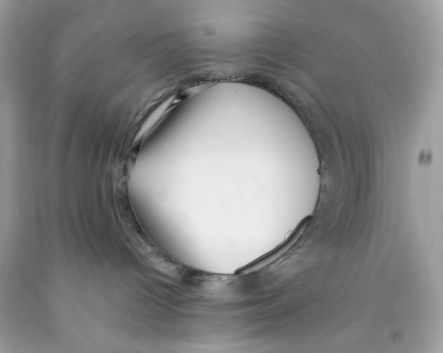 X0000091060096200709041208