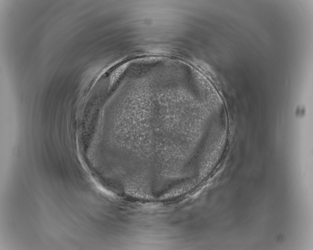 X0000091060097200709041207