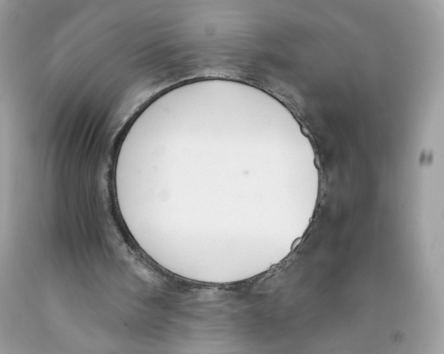 X0000091060098200709041207