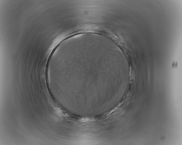 X0000091060099200709041207