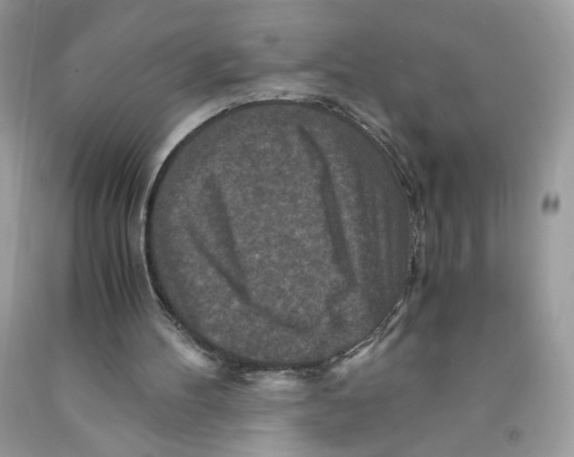 X0000091060100200709041207