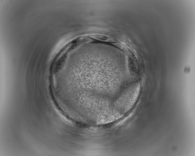 X0000091060101200709041207