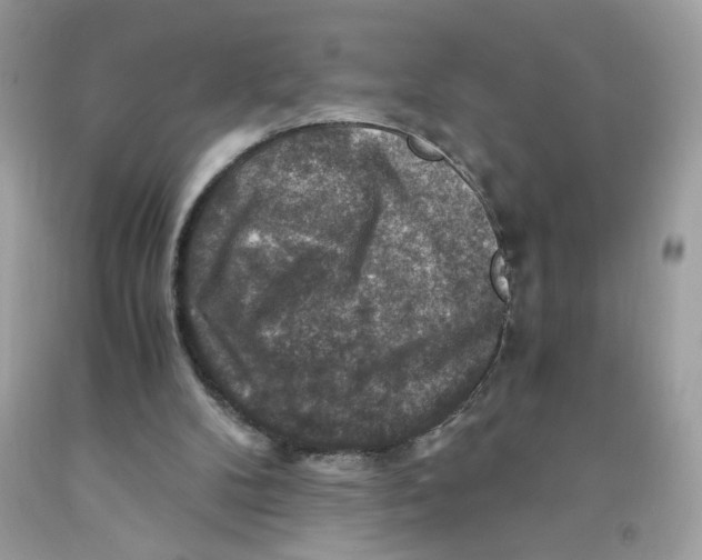 X0000091060104200709041207