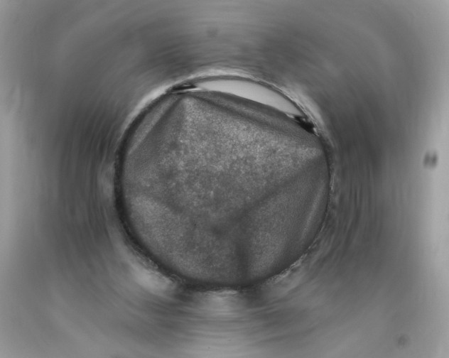 X0000091060108200709041207