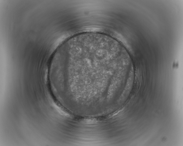 X0000091060110200709041207