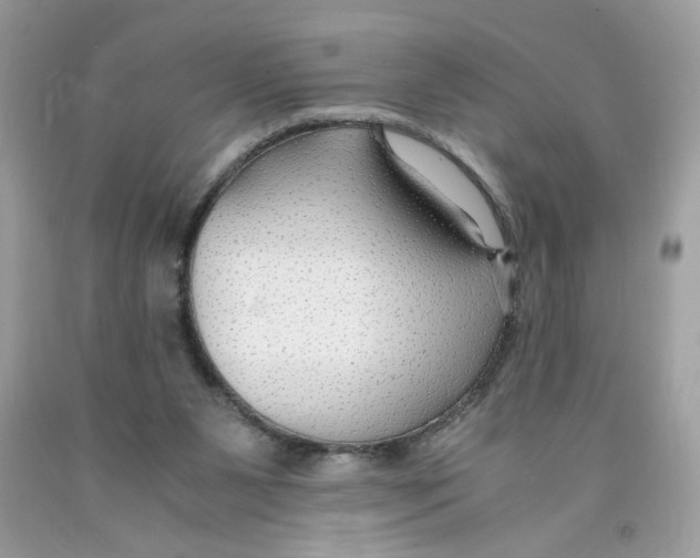 X0000091060111200709041207