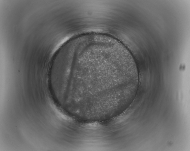 X0000091060112200709041207