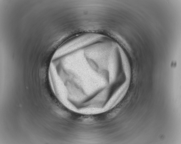 X0000091060113200709041207