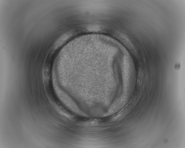 X0000091060116200709041207