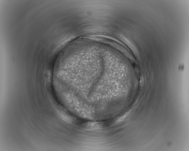 X0000091060117200709041207