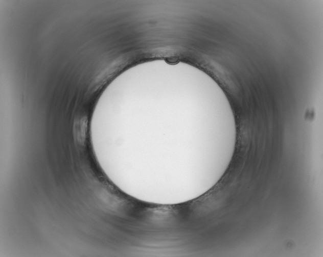 X0000091060118200709041207