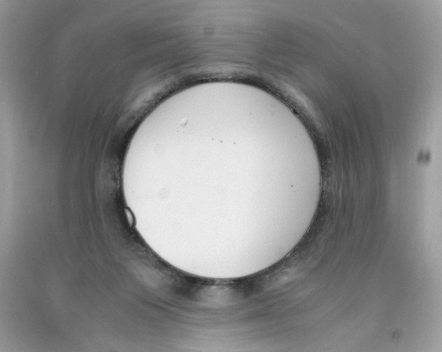 X0000091060119200709041207