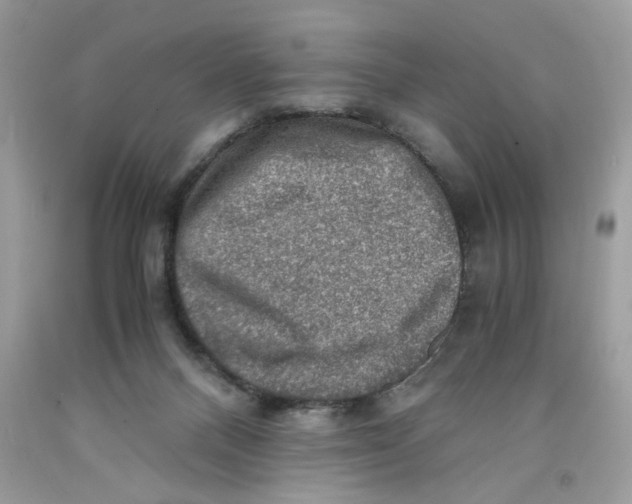 X0000091060120200709041207