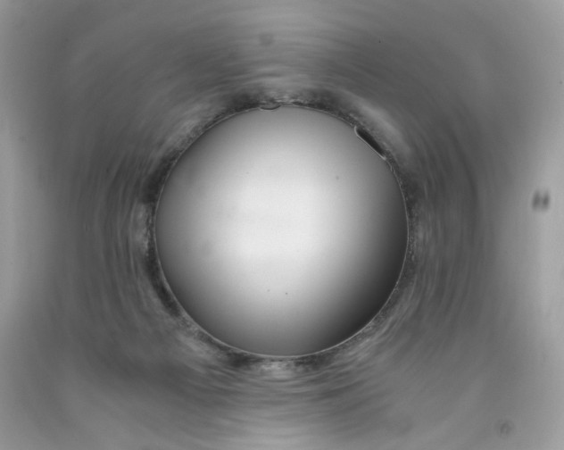 X0000091060121200709041207