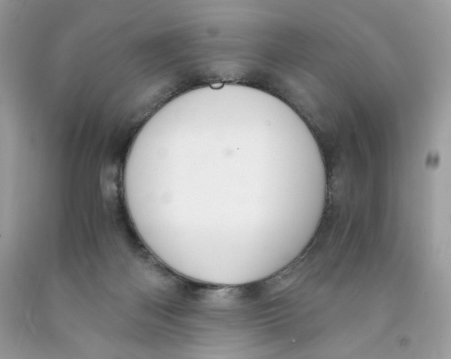 X0000091060122200709041207