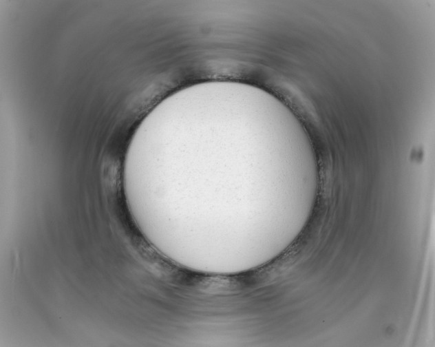 X0000091060123200709041207