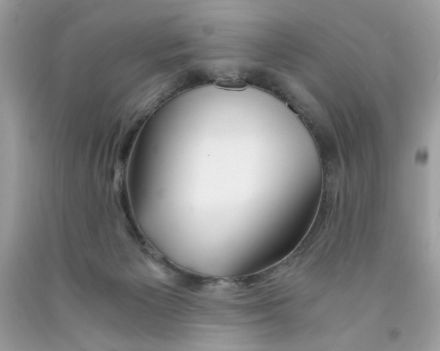 X0000091060125200709041207