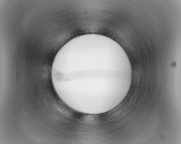 X0000091060126200709041207