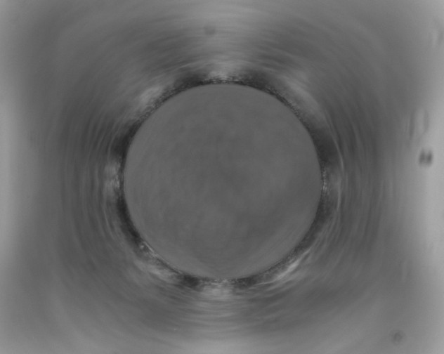 X0000091060127200709041207