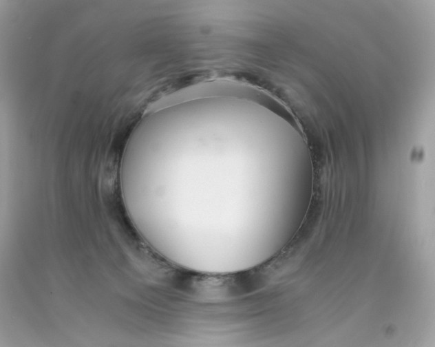 X0000091060129200709041207