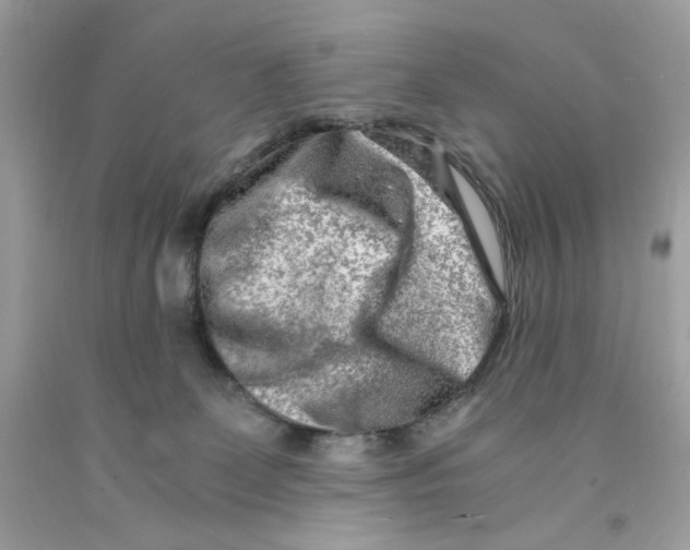 X0000091060131200709041207