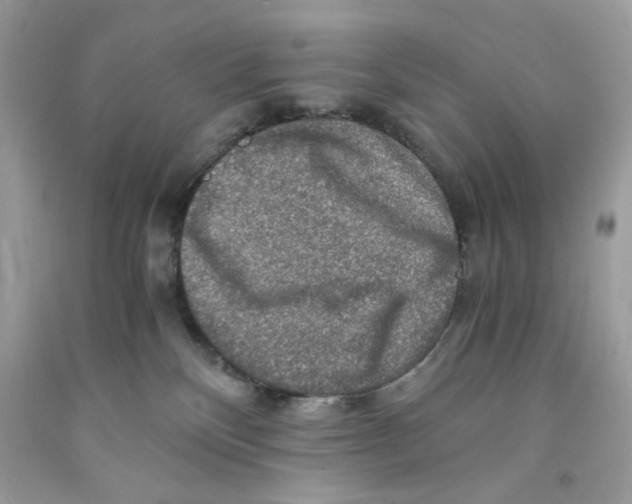 X0000091060136200709041207