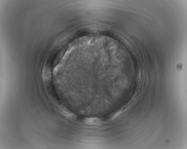 X0000091060137200709041207