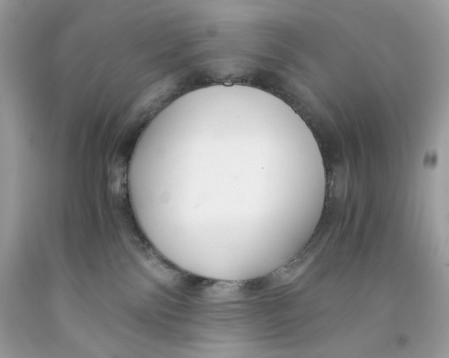 X0000091060138200709041207