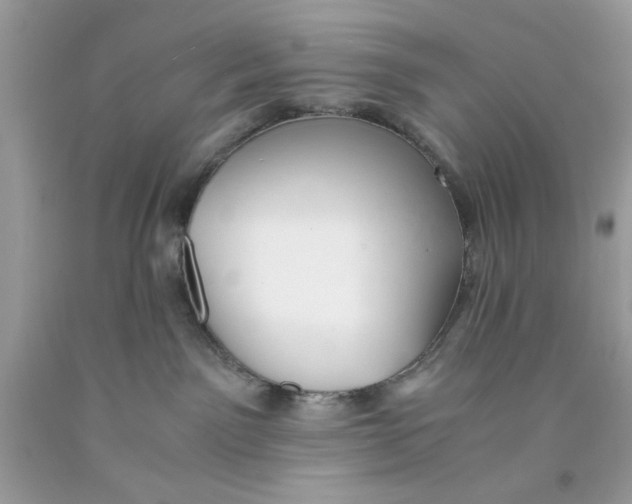 X0000091060141200709041206