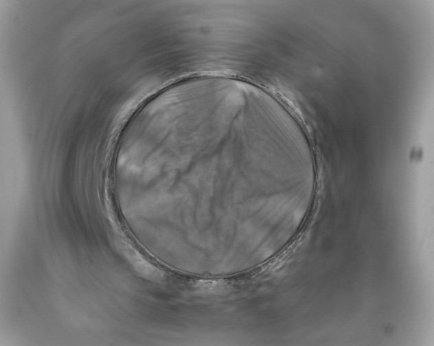 X0000091060145200709041205