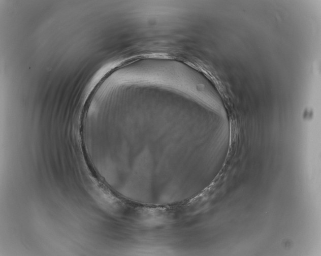 X0000091060147200709041206