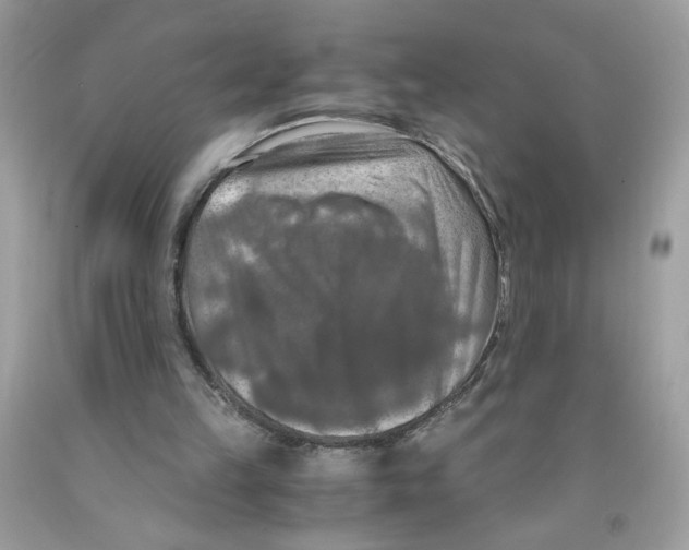 X0000091060149200709041206