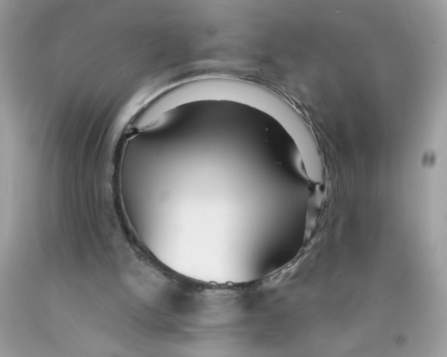 X0000091060150200709041206