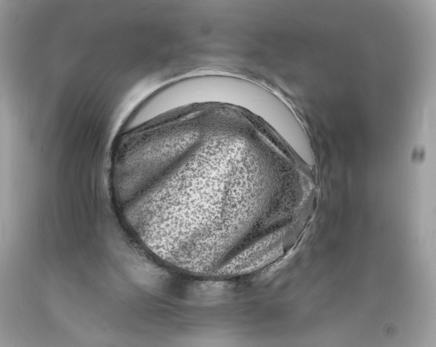 X0000091060152200709041206