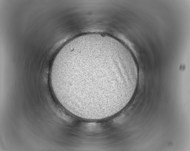 X0000091060153200709041206